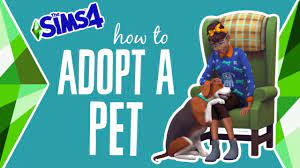 Adopt a Pet in Sims 4